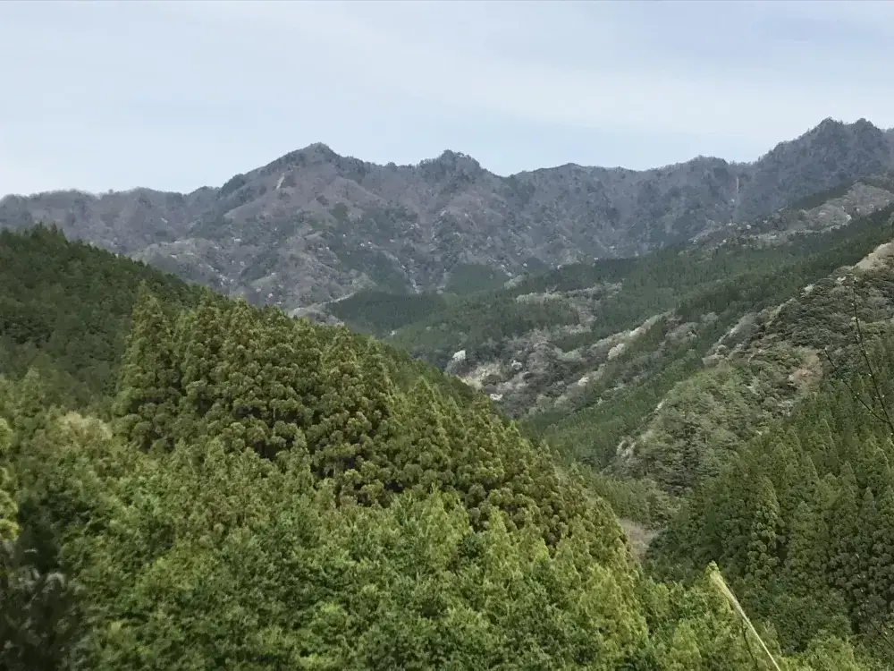 地域の山を支える仕事！未経験歓迎の森林作業員（嘱託職員）